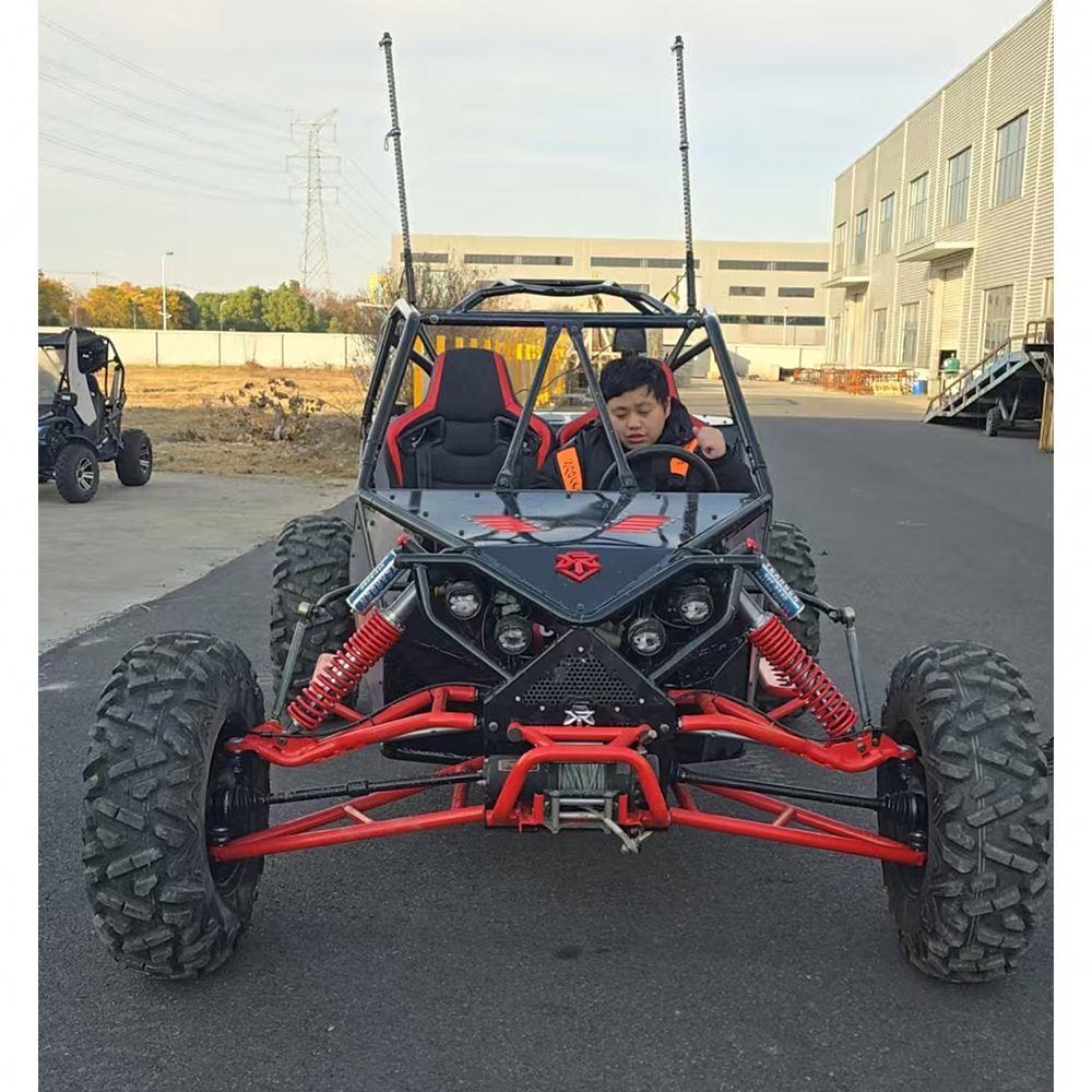Family Use Cross Pedal Go Kart - Outdoor Power And Pedal ulasan dan harga
