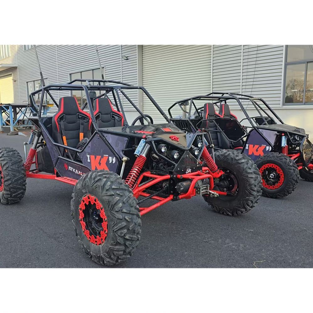 Family Use Cross Pedal Go Kart - Outdoor Power And Pedal ulasan dan harga